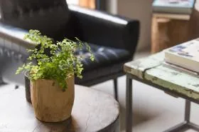 Hôtel Home - photo 9