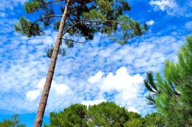 Domaine du Ferret Restaurant & Spa - photo 9