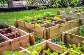 greet La Teste Bassin d'Arcachon - photo 9