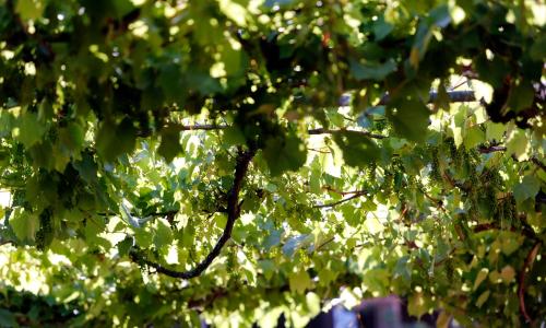 Hotel Résidence Le Sporting - photo 2