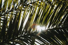 La Maison du Bassin - photo 20