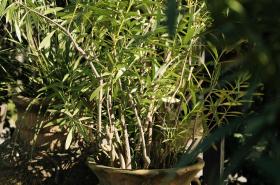 La Maison du Bassin - photo 24