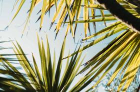 La Maison du Bassin - photo 27