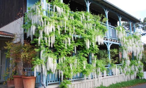 La Maison du Bassin - photo 2