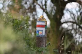 Les cottages du Bassin d'Arcachon - photo 7