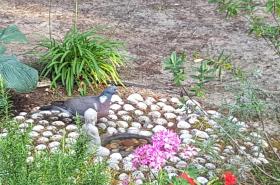 Villa Akwaba - photo 6