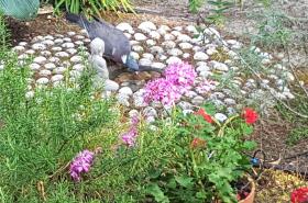 Villa Akwaba - photo 7