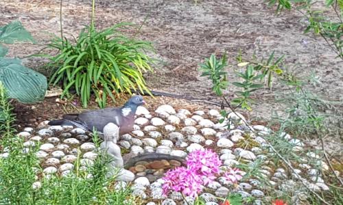 Villa Akwaba - photo 3