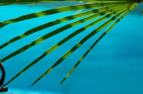 Villa Herbert - photo 8