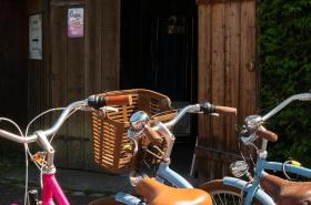 Villa Herbert - photo 19