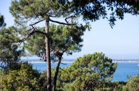 Villa Chistera - photo 9