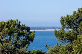 Villa Chistera - photo 22