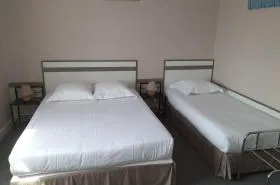 Hôtel de France - photo 13