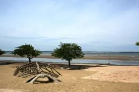 Hotel du Parc - photo 10