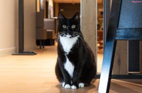 ibis Arcachon la Teste de Buch - photo 24