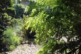 Le Lodge du Cap Ferret - photo 4