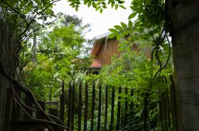 Le Lodge du Cap Ferret - photo 9