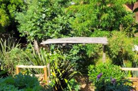 Le Lodge du Cap Ferret - photo 4