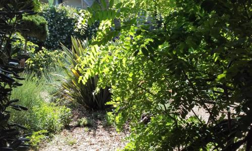 Le Lodge du Cap Ferret - photo 1