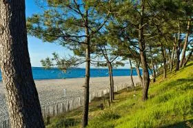 Hôtel Thalazur Arcachon - photo 15