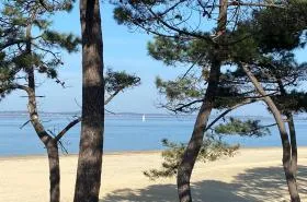 Les lodges du Bassin d'Arcachon - photo 7