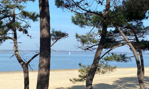 Les lodges du Bassin d'Arcachon - photo 3