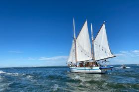 La Maison du Cotton - photo 8