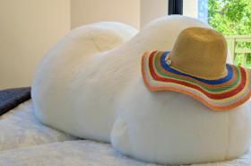 Les Villas de la Ville d'Hiver - photo 13