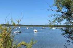 Le Jardin 51 - photo 20