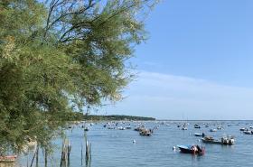 Le Jardin 51 - photo 18