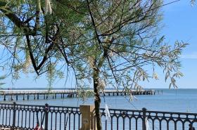 Le Jardin 51 - photo 21